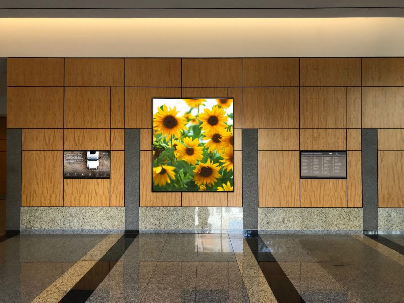 Two digital directories and video wall showing sunflowers on screen